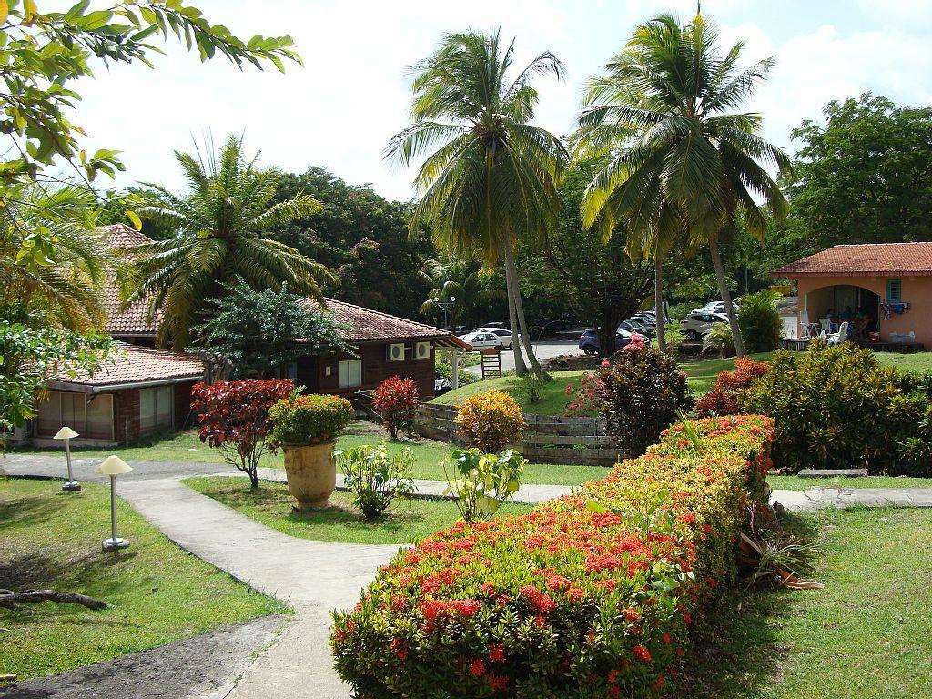 Palm'Studio Anse De Caritan Sainte-Anne Ngoại thất bức ảnh