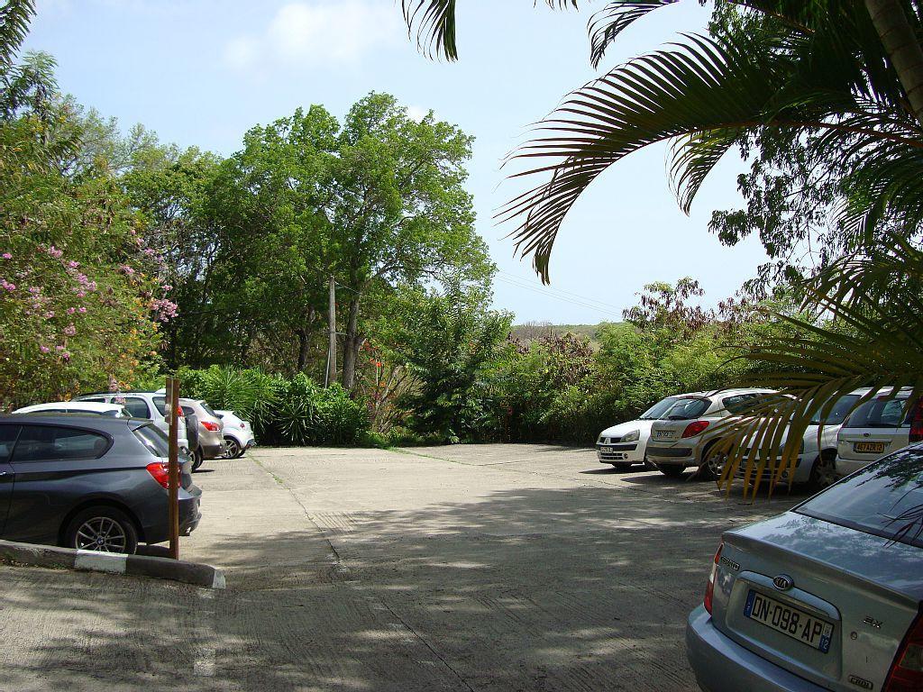 Palm'Studio Anse De Caritan Sainte-Anne Ngoại thất bức ảnh