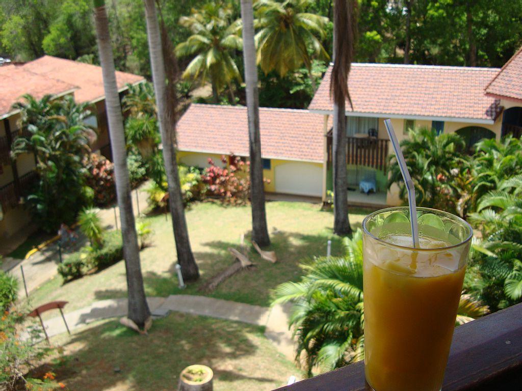 Palm'Studio Anse De Caritan Sainte-Anne Ngoại thất bức ảnh